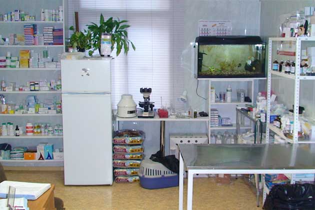 Veterinary Clinic Business Plan